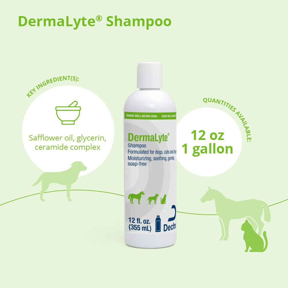 Dermalyte Shampoo for Dogs, Cats & Horses - Image 2