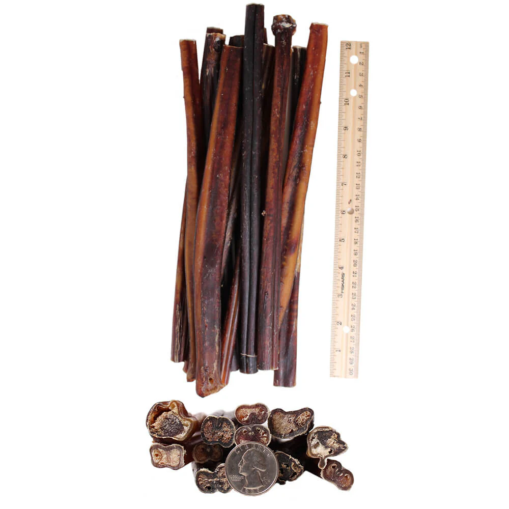 Dog Bully Sticks Premium All Natural Dog Pizzle Chews, 12" - Image 2