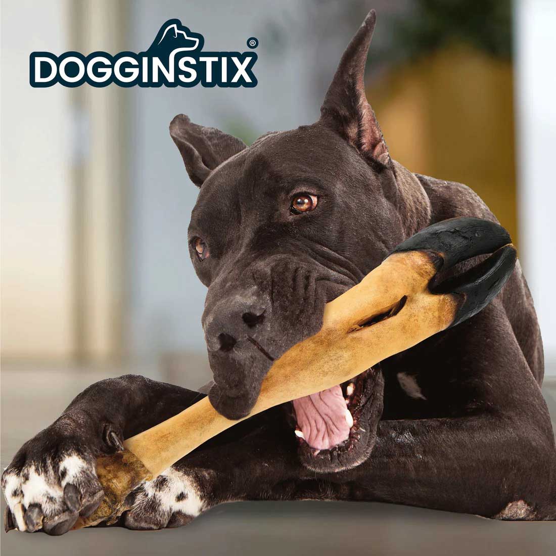 Dogginstix Beef Foot Dog Chew – Four Treats in One, Ideal for Small to Medium Dogs - Image 3