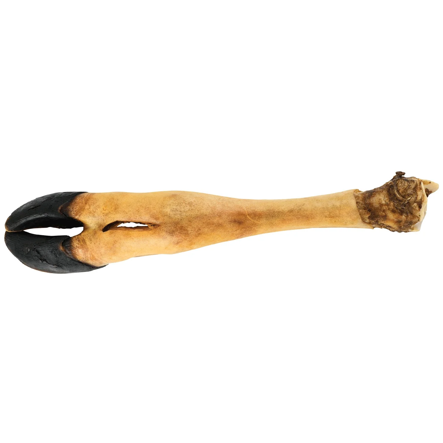Dogginstix Beef Foot Dog Chew – Four Treats in One, Ideal for Small to Medium Dogs - Image 1