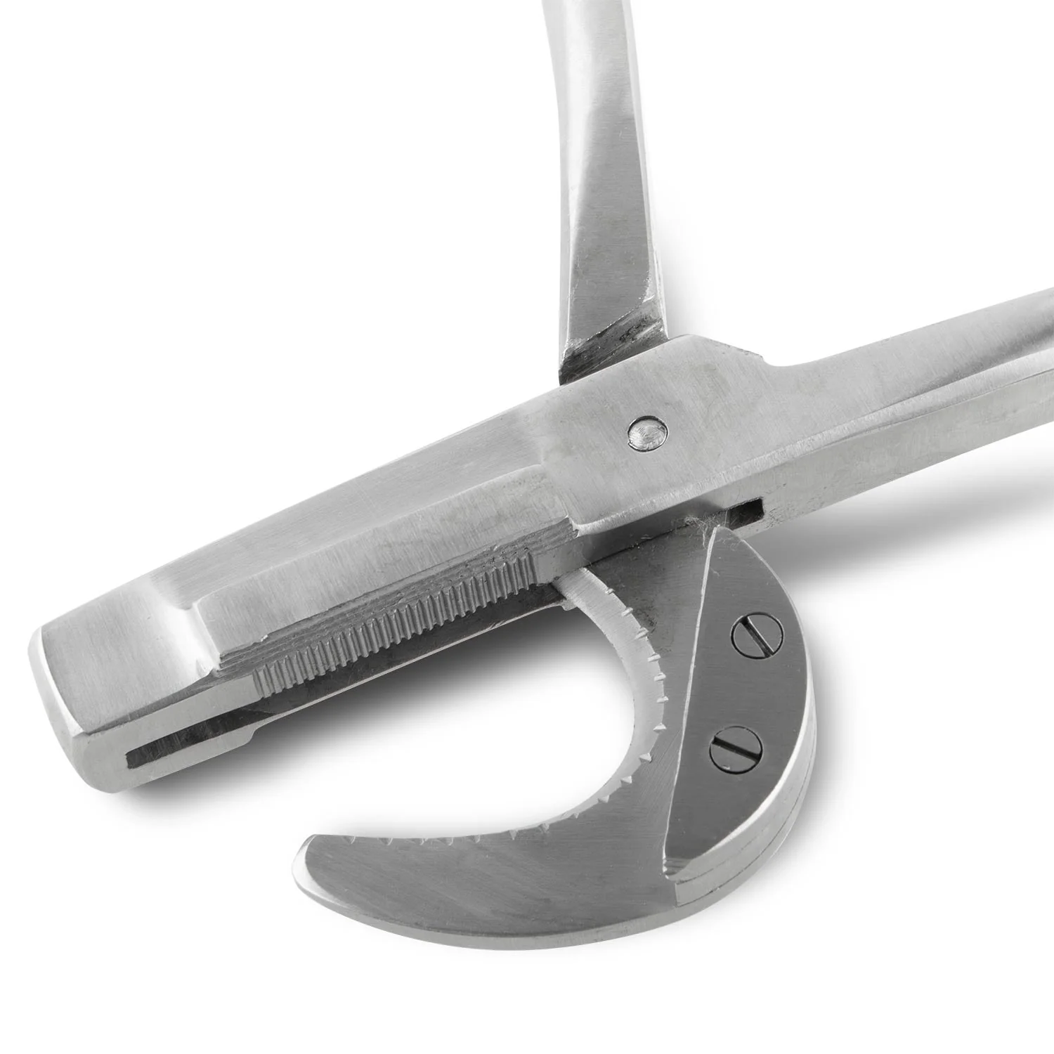 Jeffers Double Crush Emasculator in Stainless Steel, 9" or 12" - Image 3