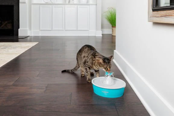 Drinkwell Butterfly Pet Fountain - Image 1