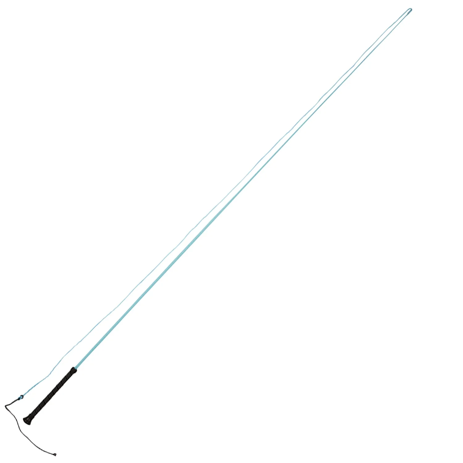 Dublin Brights Lunge Whip
