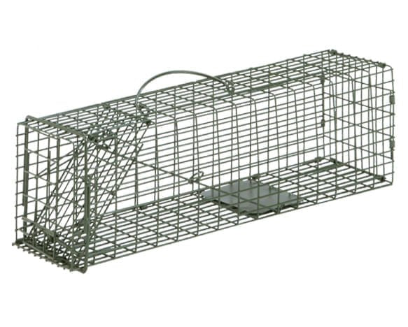 Duke Standard Live Animal Cage Trap – Humane Catch & Release Trap for Rodents & Squirrels