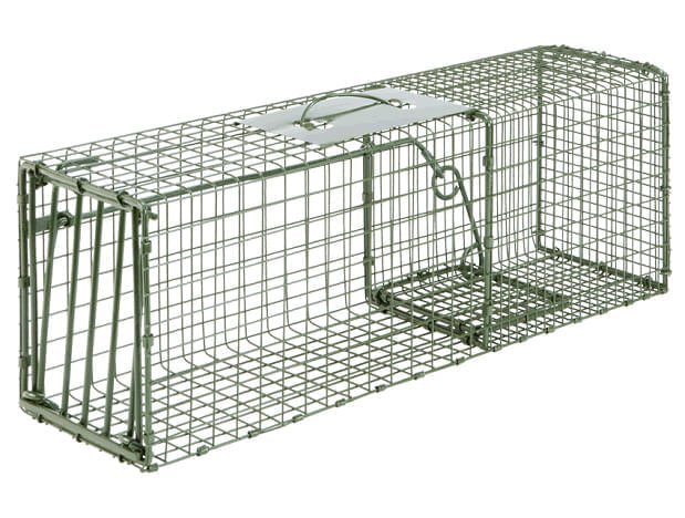Duke Heavy-Duty Live Animal Cage Trap – Humane Steel Catch & Release Trap