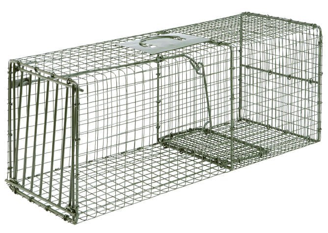 Duke Heavy-Duty Live Animal Cage Trap – Humane Steel Catch & Release Trap - Image 2