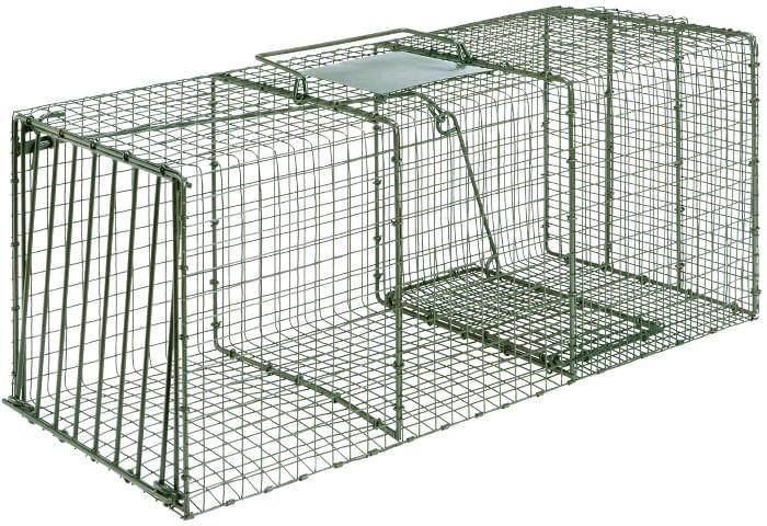 Duke Heavy-Duty Live Animal Cage Trap – Humane Steel Catch & Release Trap - Image 3