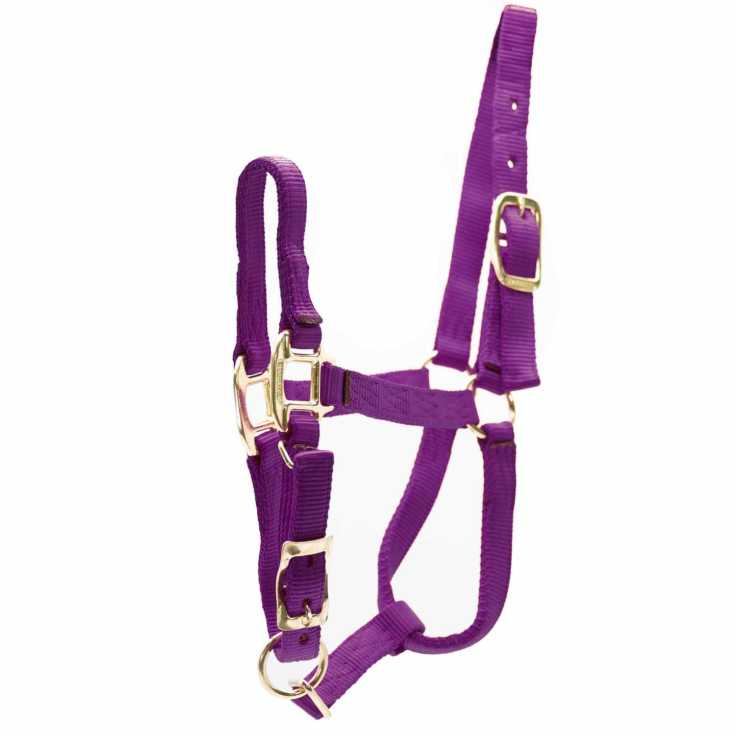 Durable Adjustable 1″ Nylon Horse Halter