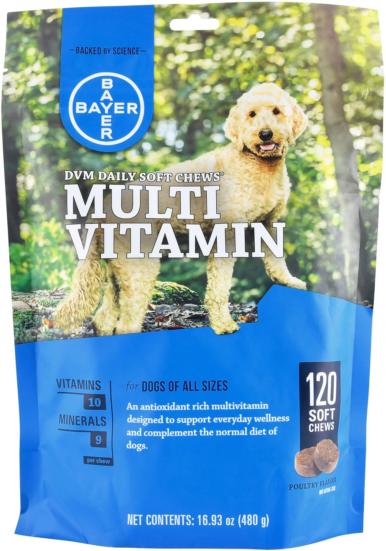 DVM Daily Soft Chews for Dogs - Image 1