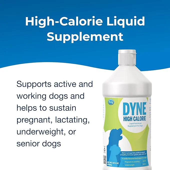 Dyne High Calorie Liquid Nutritional Supplement for Dogs - Image 3