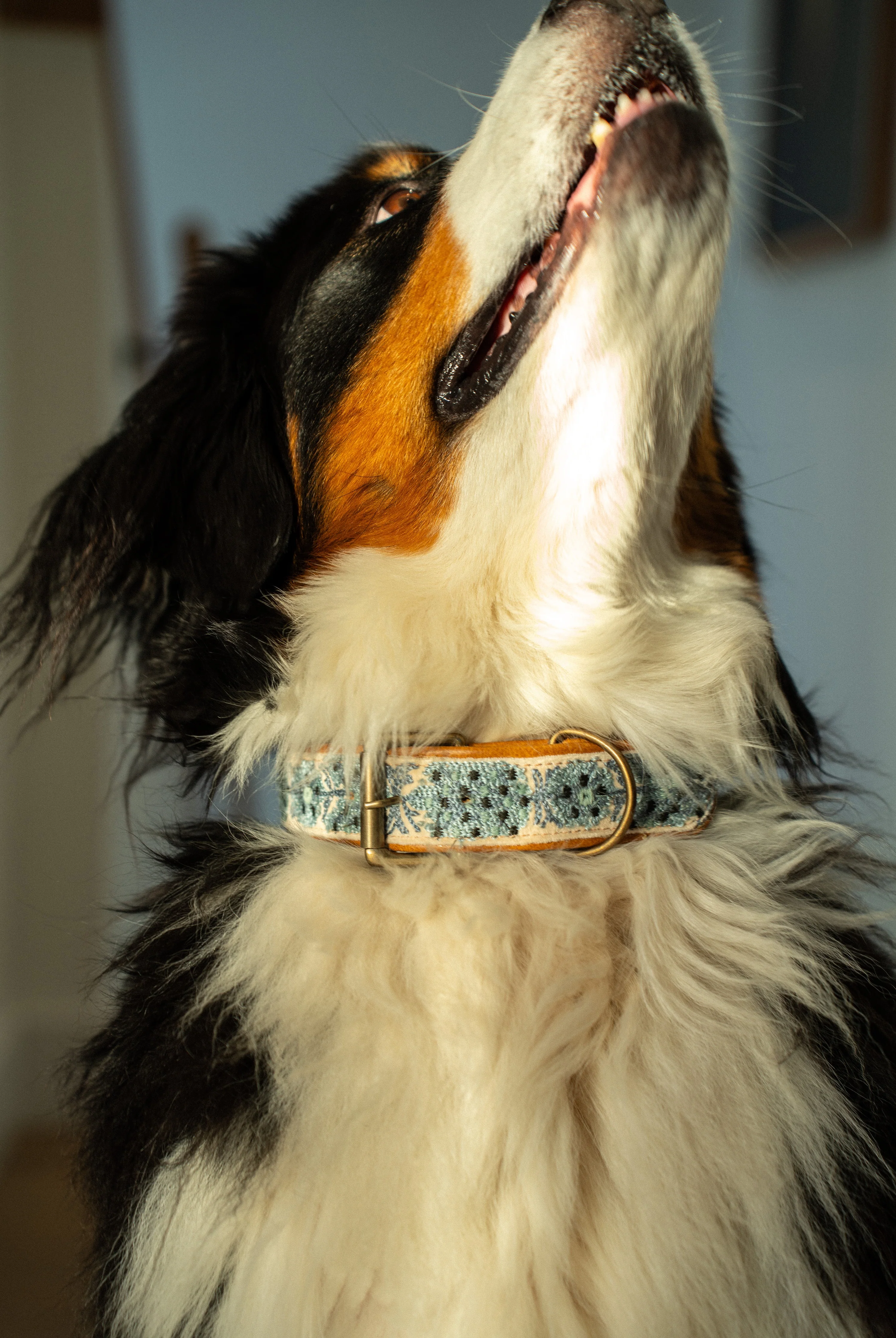 Nova Embroidered Dog Collar L - Image 2
