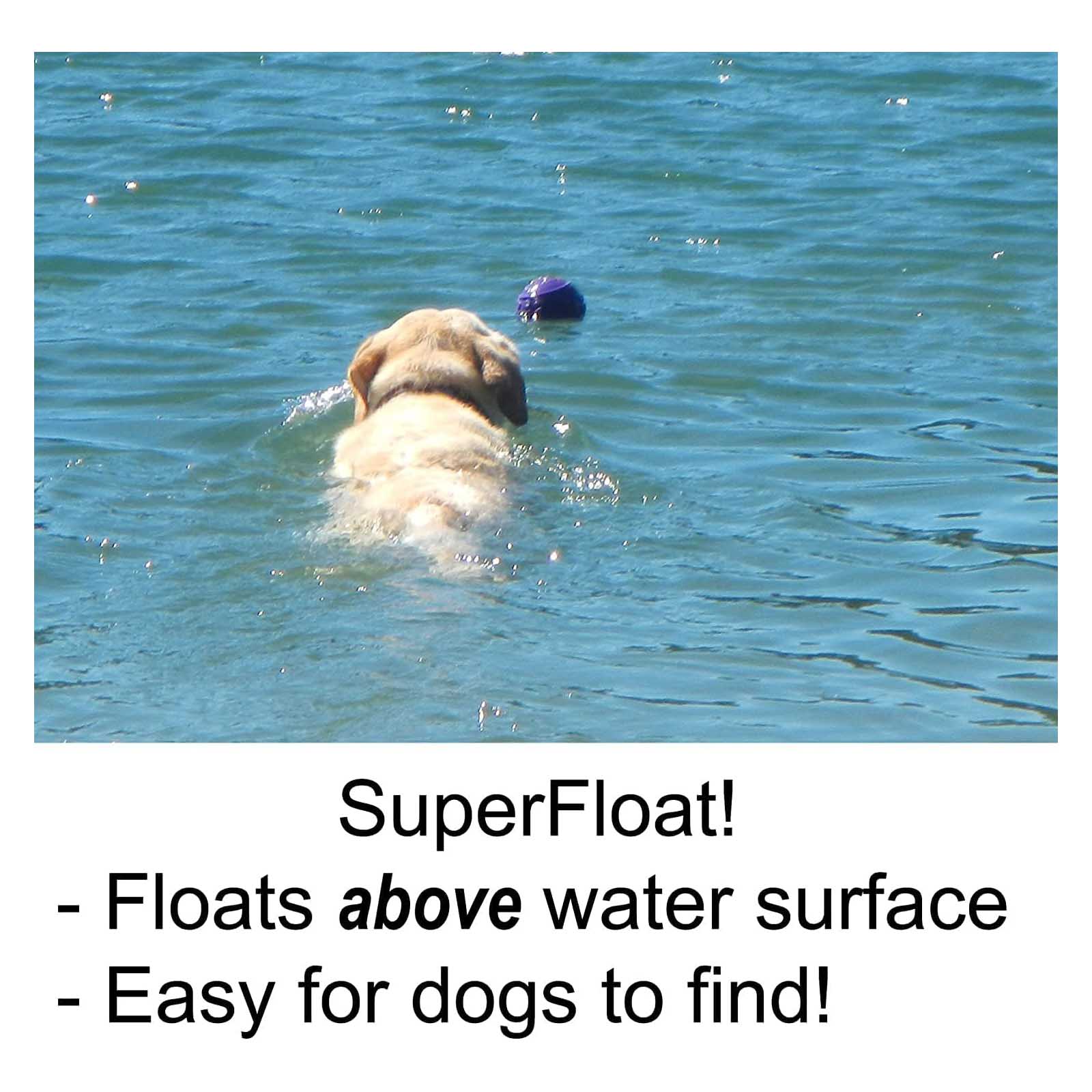Ecolast High Roller Rubber Dog Toy - Image 3