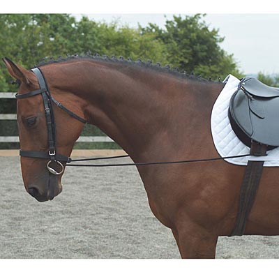 Elastic Training Reins - Image 1