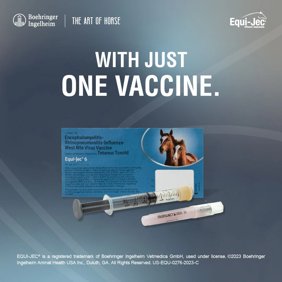 Equi-Jec 6 Vaccine for Horses - Image 3