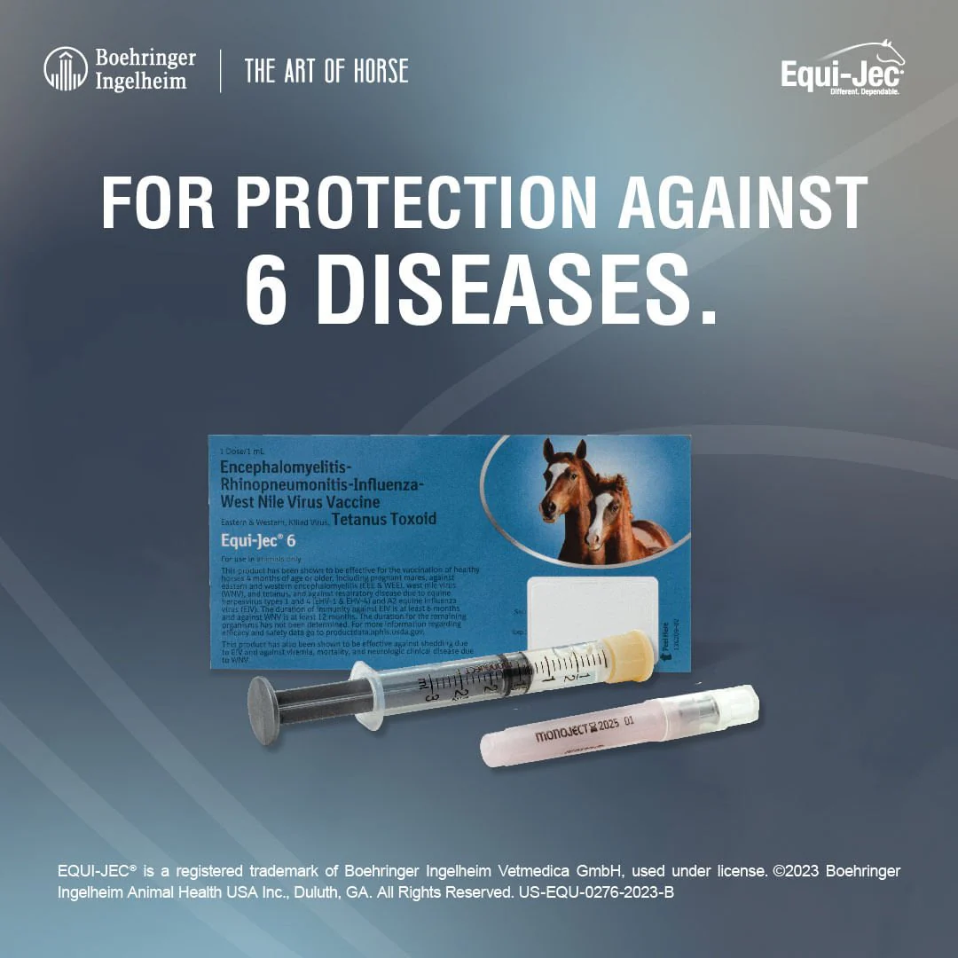 Equi-Jec 6 Vaccine for Horses - Image 2