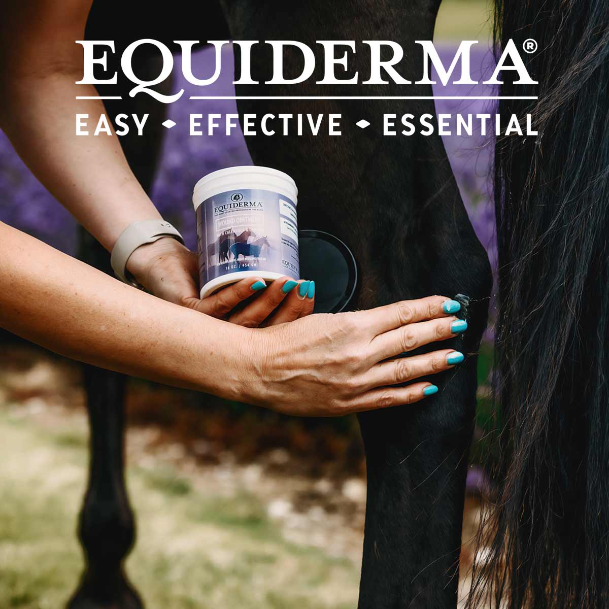 Equiderma Wound Ointment - Image 2