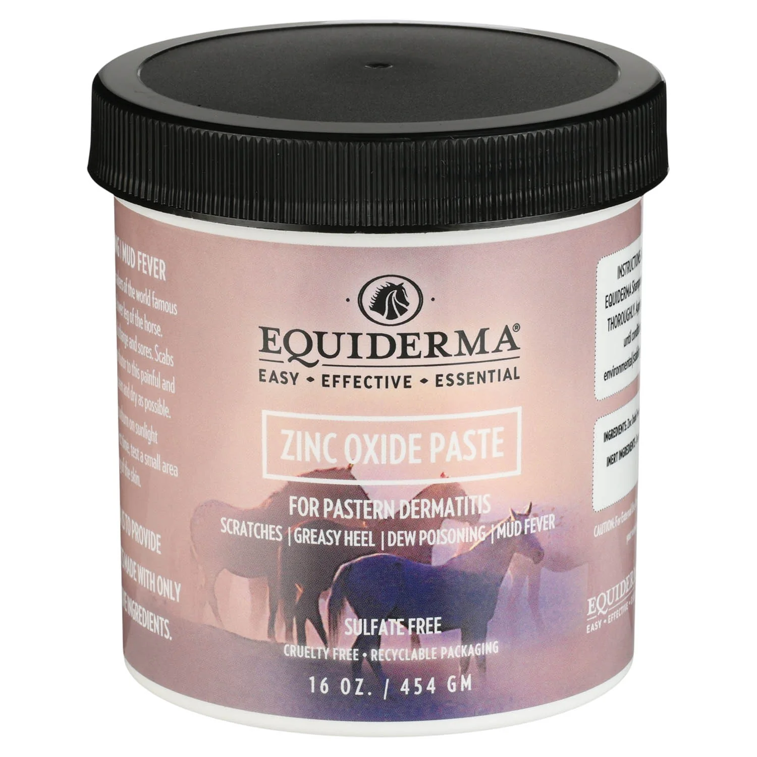 Equiderma Zinc Oxide Paste, 16 oz - Image 1