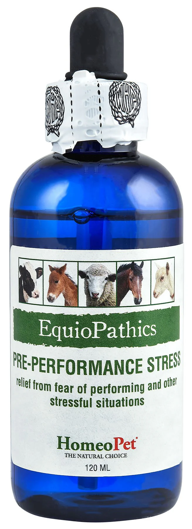 EquioPathics Pre-Performance Stress - Image 1