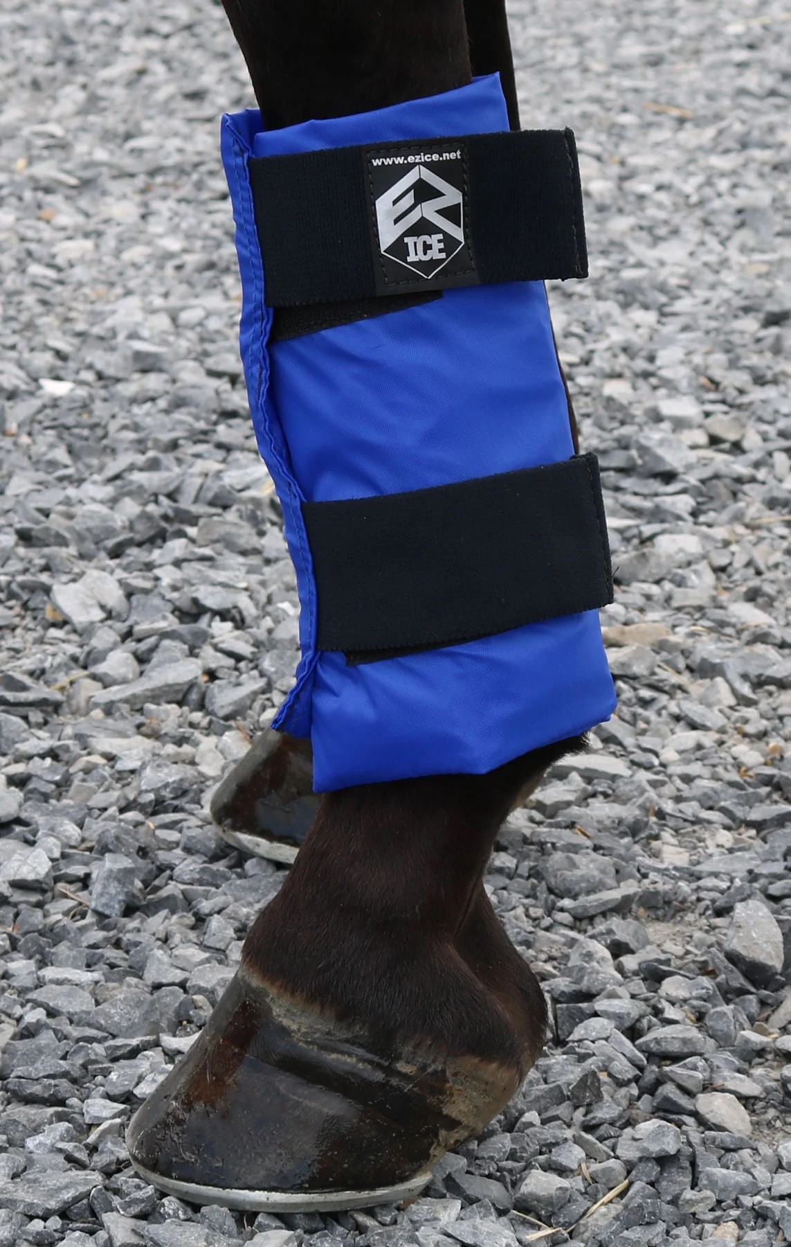 EZ Ice Horse Therapy Tendon Wrap, Each - Image 1