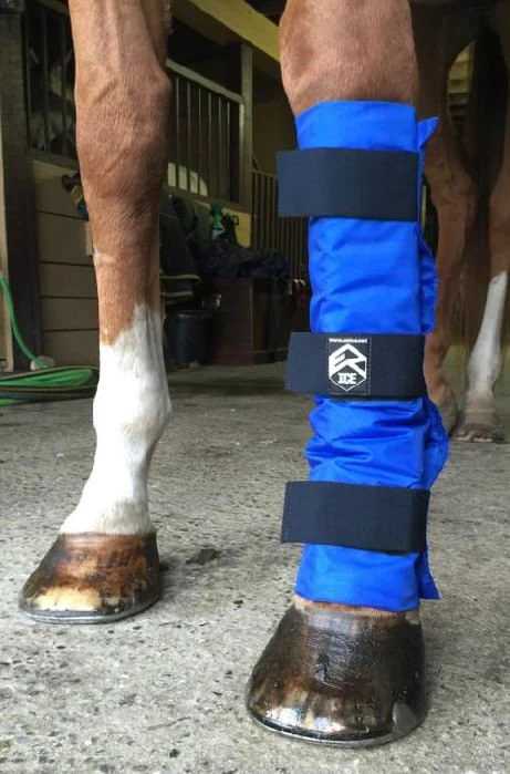 EZ Ice Universal Horse Ice Therapy Leg Wrap, Single - Image 1