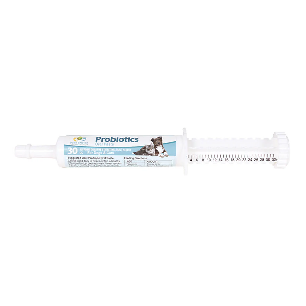 EZ-Soothe Probiotic Oral Paste for Dogs & Cats – Daily Digestive & Gut Support, 30cc - Image 1