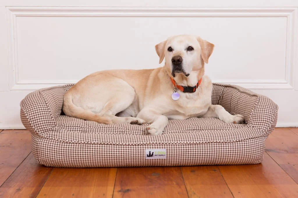 EZ-Wash Premium Headrest Memory Foam Dog Bed - Image 3
