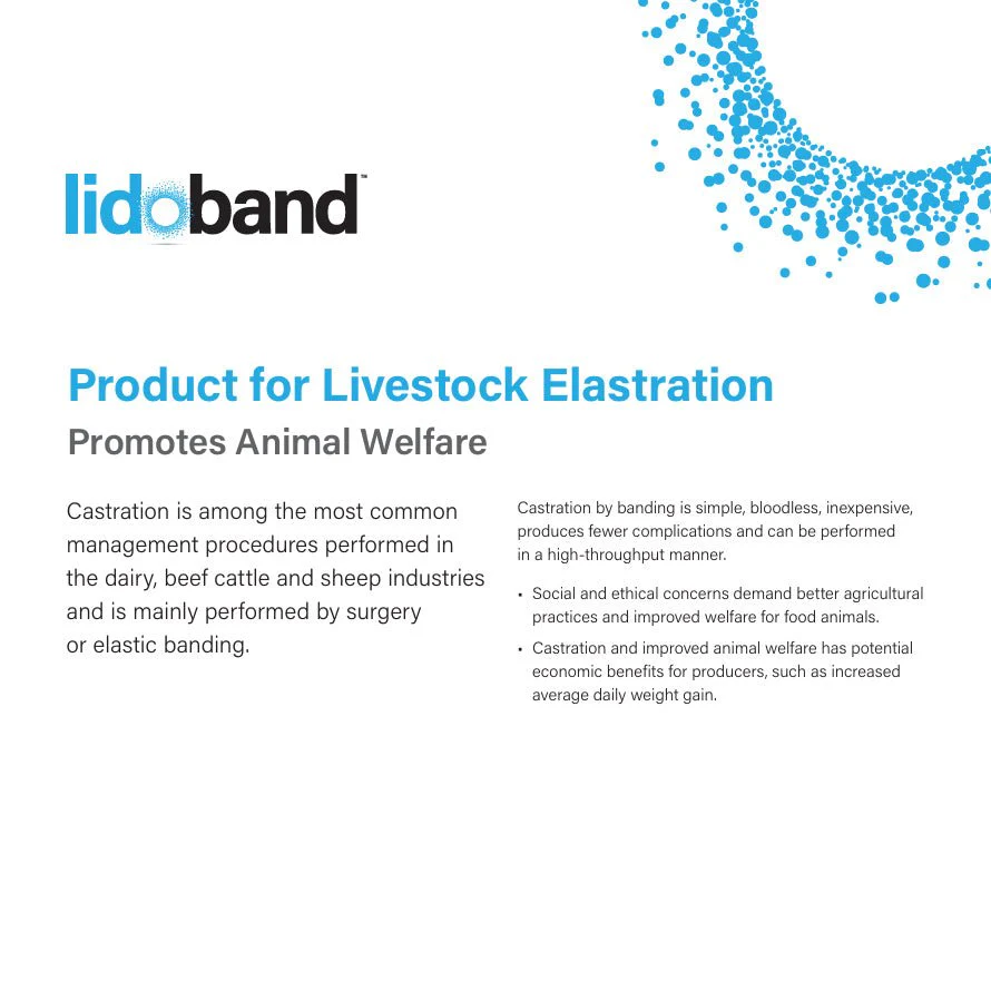 XL Bander with Lidoband XL Pain-Relief Lidocaine Castration Bands for Cattle, Humane Castration Kit, Plier-Type Applicator - Image 3