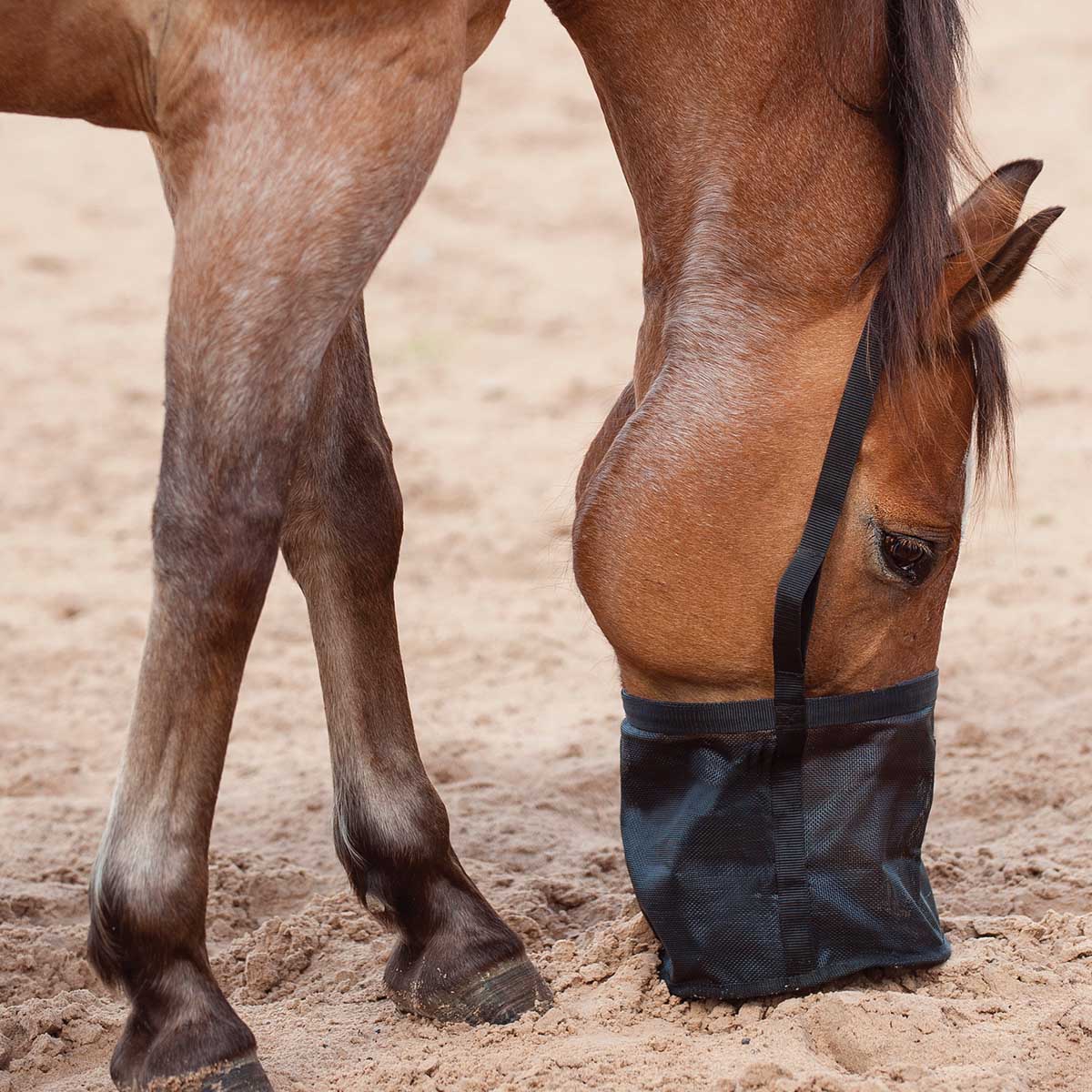 Feed Rite Horse Feed Bag - Image 1