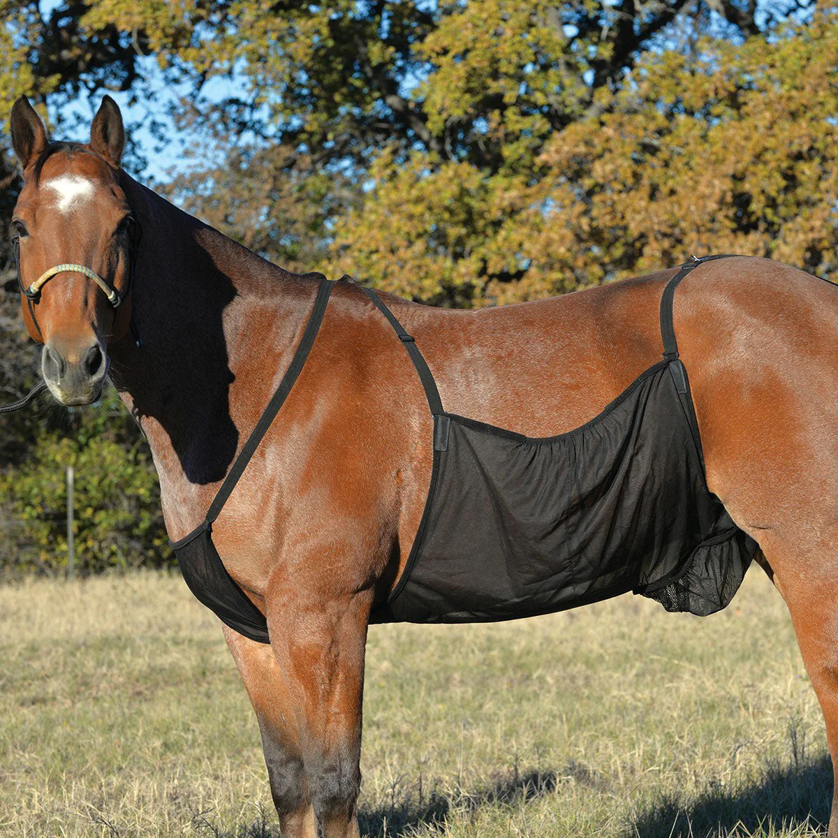 Fly Sheet Belly Guard for Horses - Image 1
