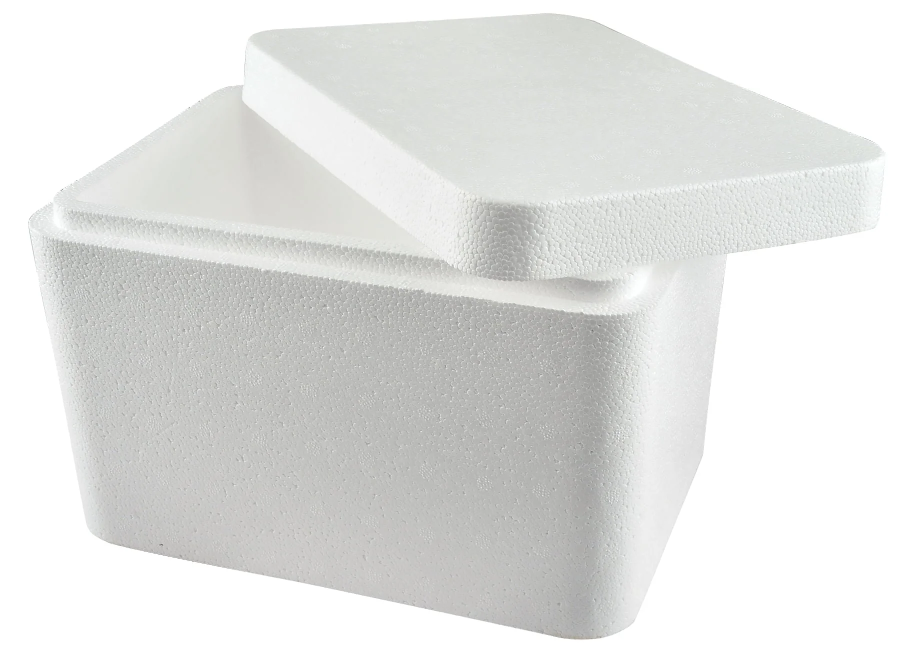 Jeffers Foam Cooler for Vaccines - Image 1