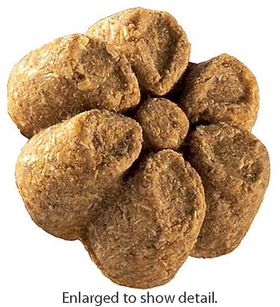 Fruitables Calorie Smart Crunchy Dog Treats, 7 oz - Image 2