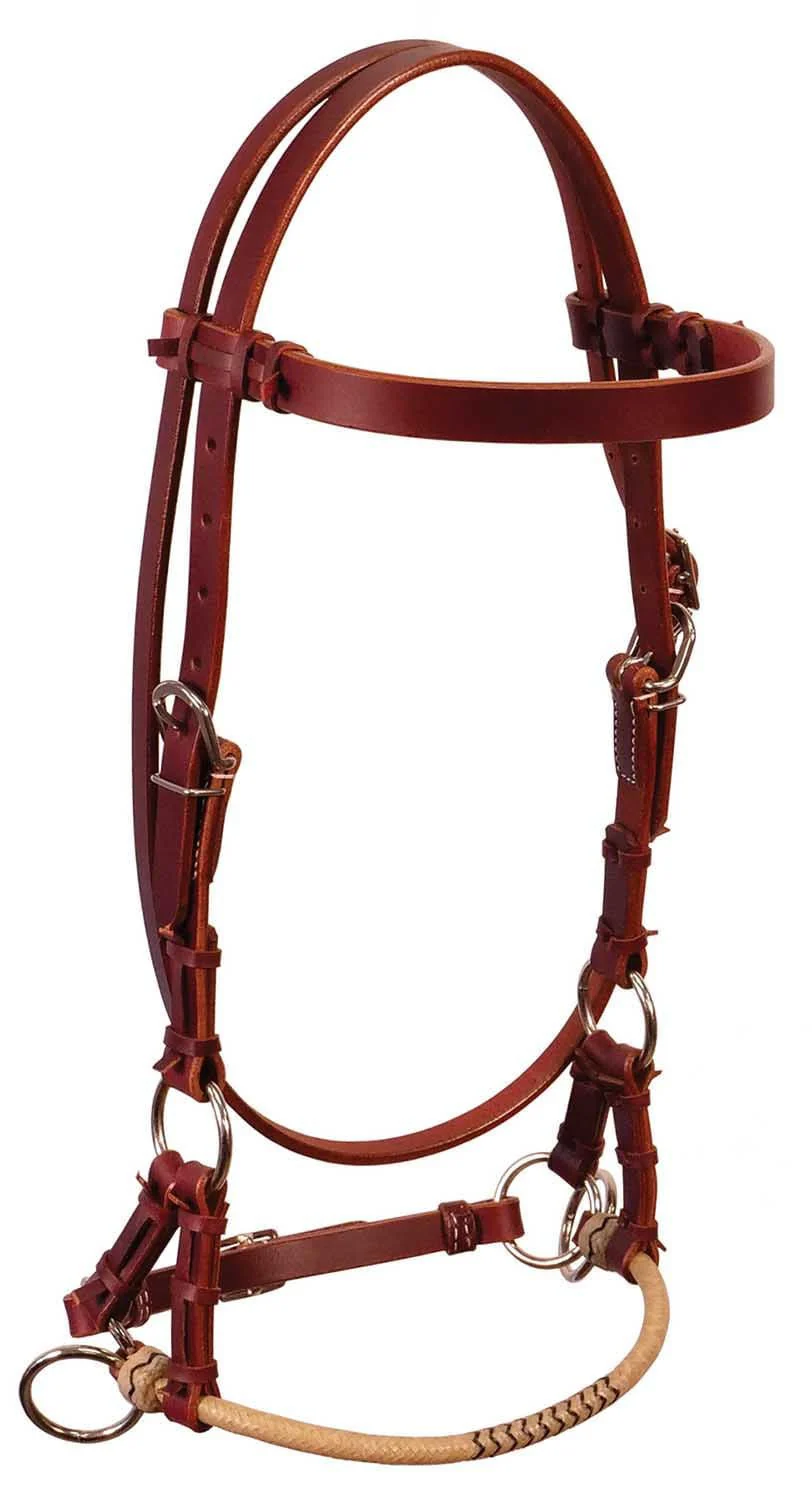 Buffalo Leather Fully Adjustable Rawhide Side Pull Headstall - Image 1