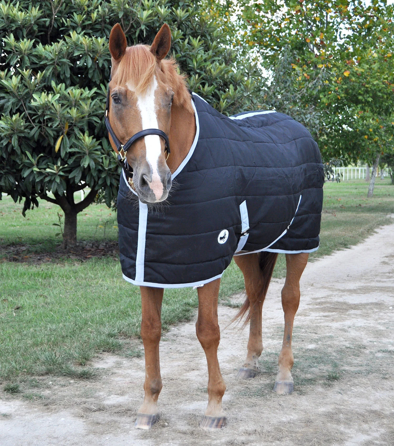Jeffers Closed Front 240g Fill Stable Blanket for Horses - Image 2