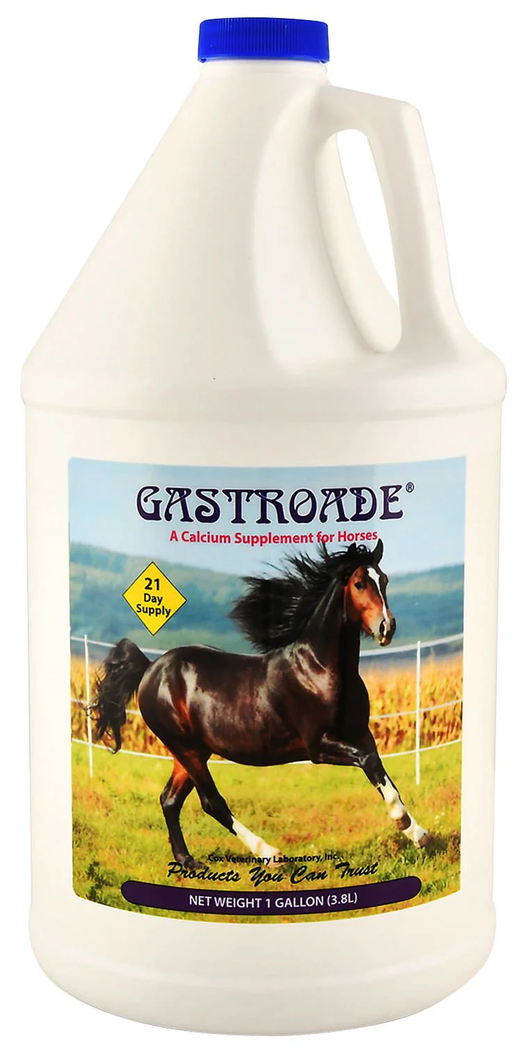 Gastroade Liquid GI Supplement for Horses - Image 1