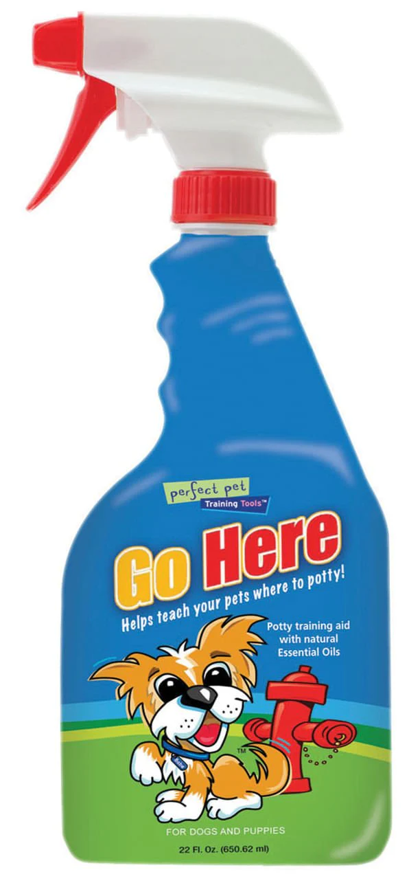 Go Here! Potty Training Spray for Dogs & Puppies - Image 1