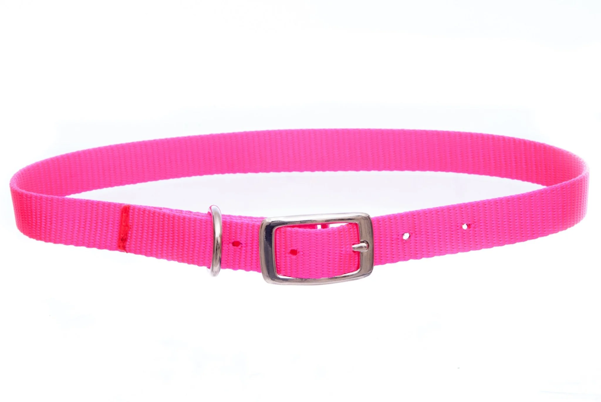 Weaver Nylon Goat Collar with Nickel Hardware – Kid & Doe Sizes
