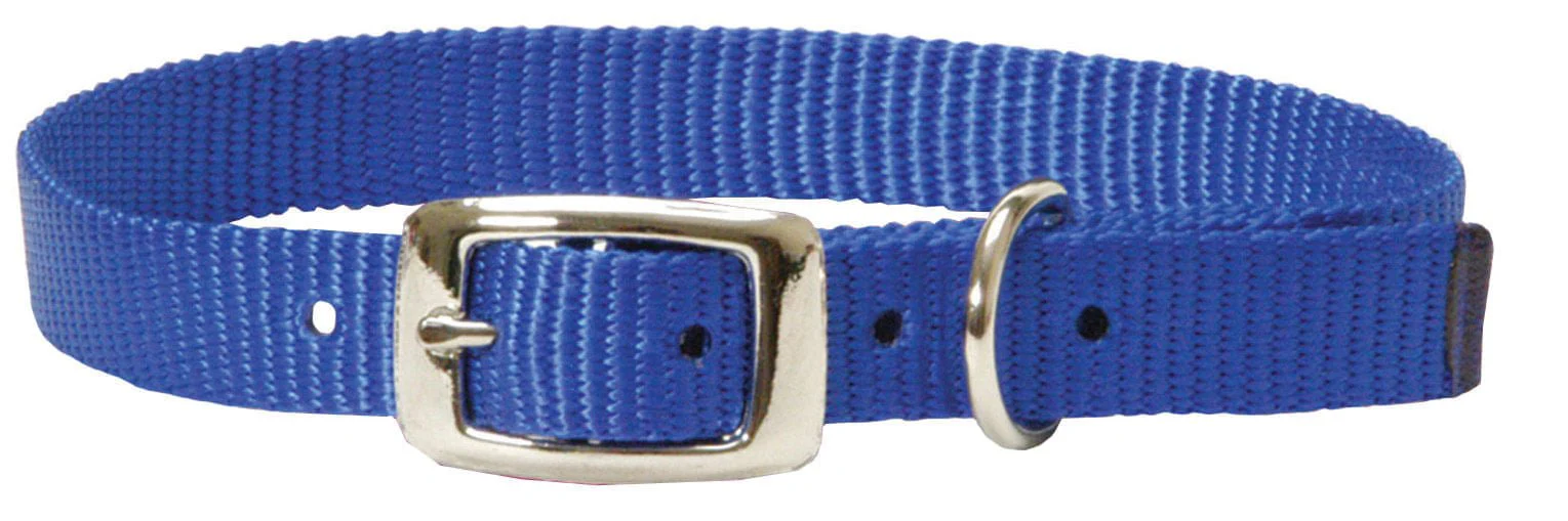 Weaver Nylon Goat Collar with Nickel Hardware – Kid & Doe Sizes - Image 2