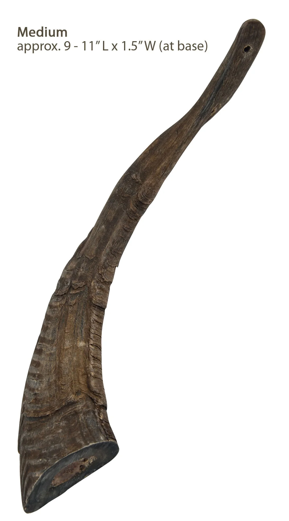 Gobi Goat Horn Natural Dog Chew - Image 2