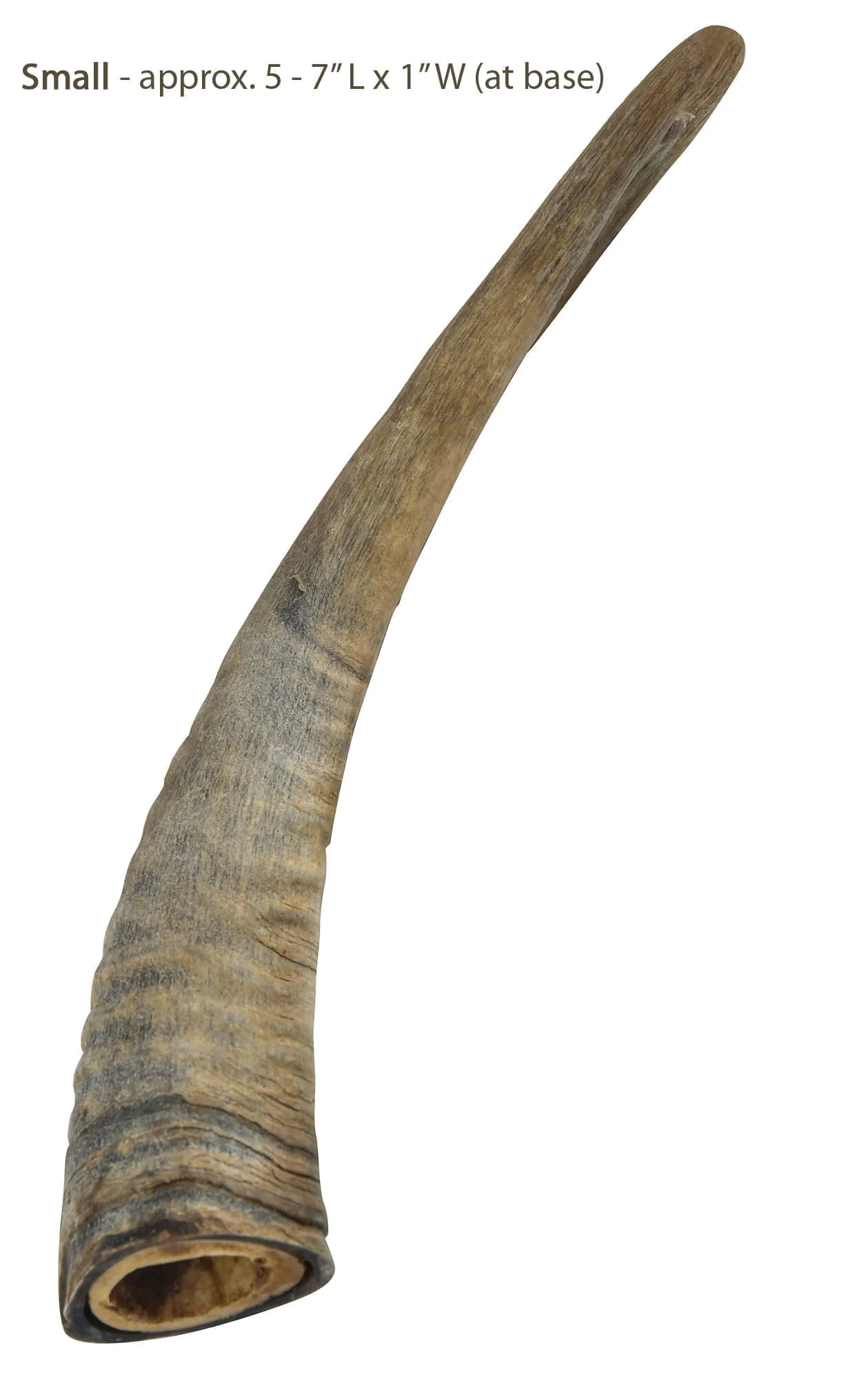 Gobi Goat Horn Natural Dog Chew - Image 1