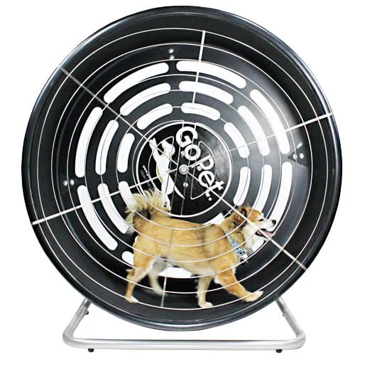 GoPet Treadwheel, Toy/Small, 25 lb Limit - Image 1