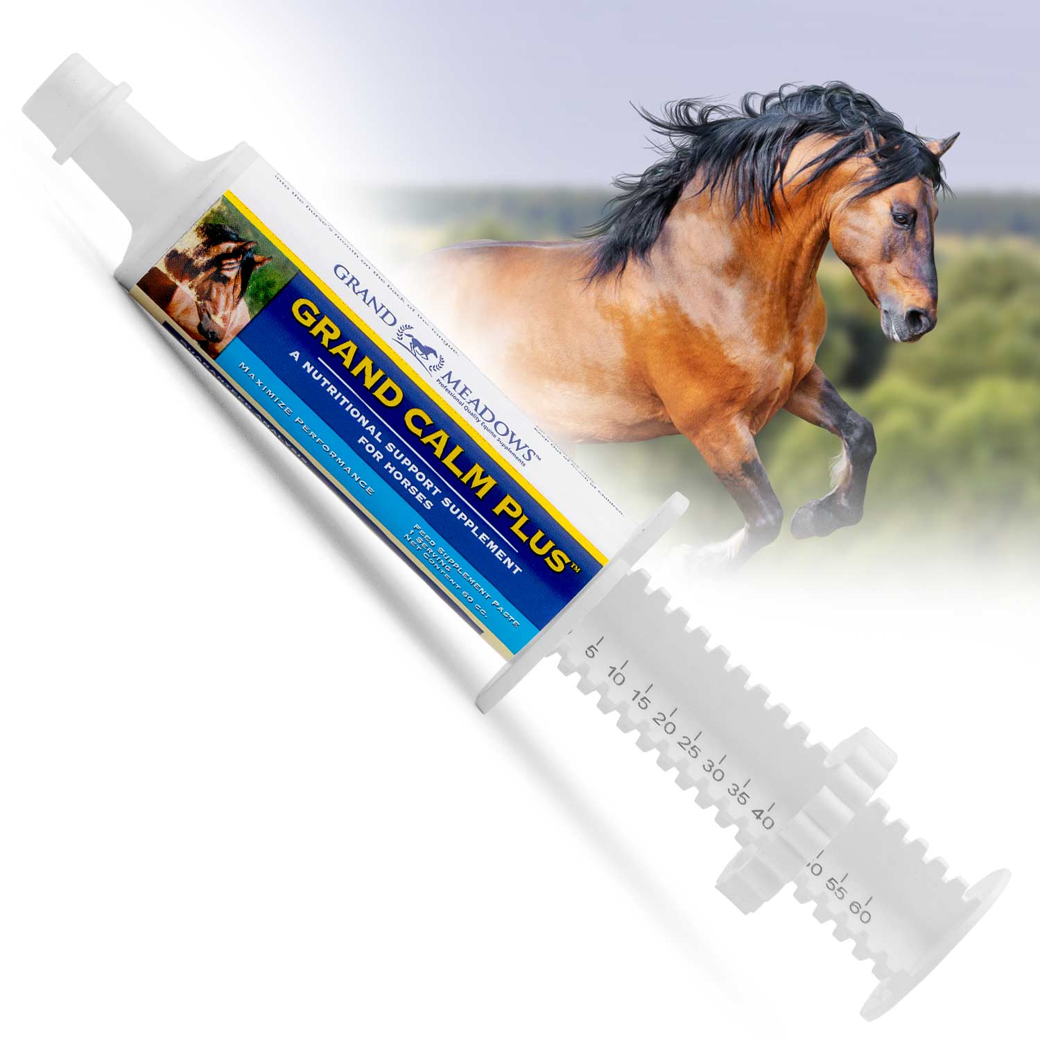 Grand Calm Paste Horse Supplement, 60cc - Image 1