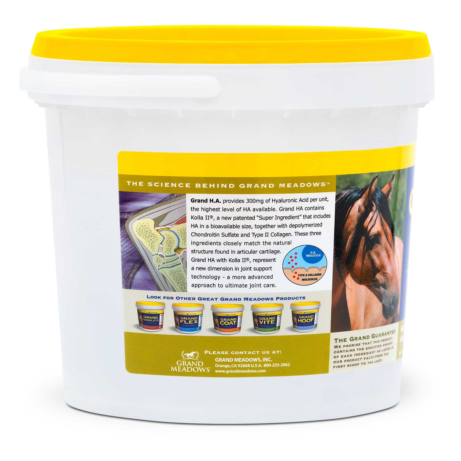 Grand H.A. Hyaluronic Acid Supplement for Joint Support in Horses - Image 2