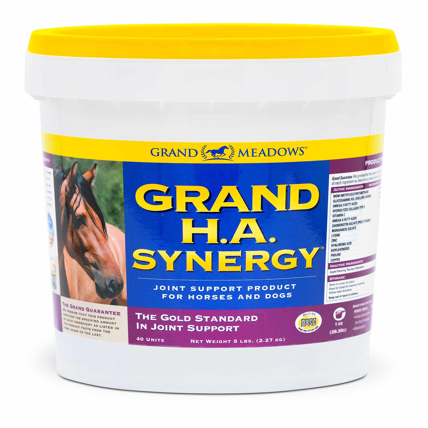 Grand H.A. Synergy Advanced Joint Supplement for Horses & Dogs - Image 1