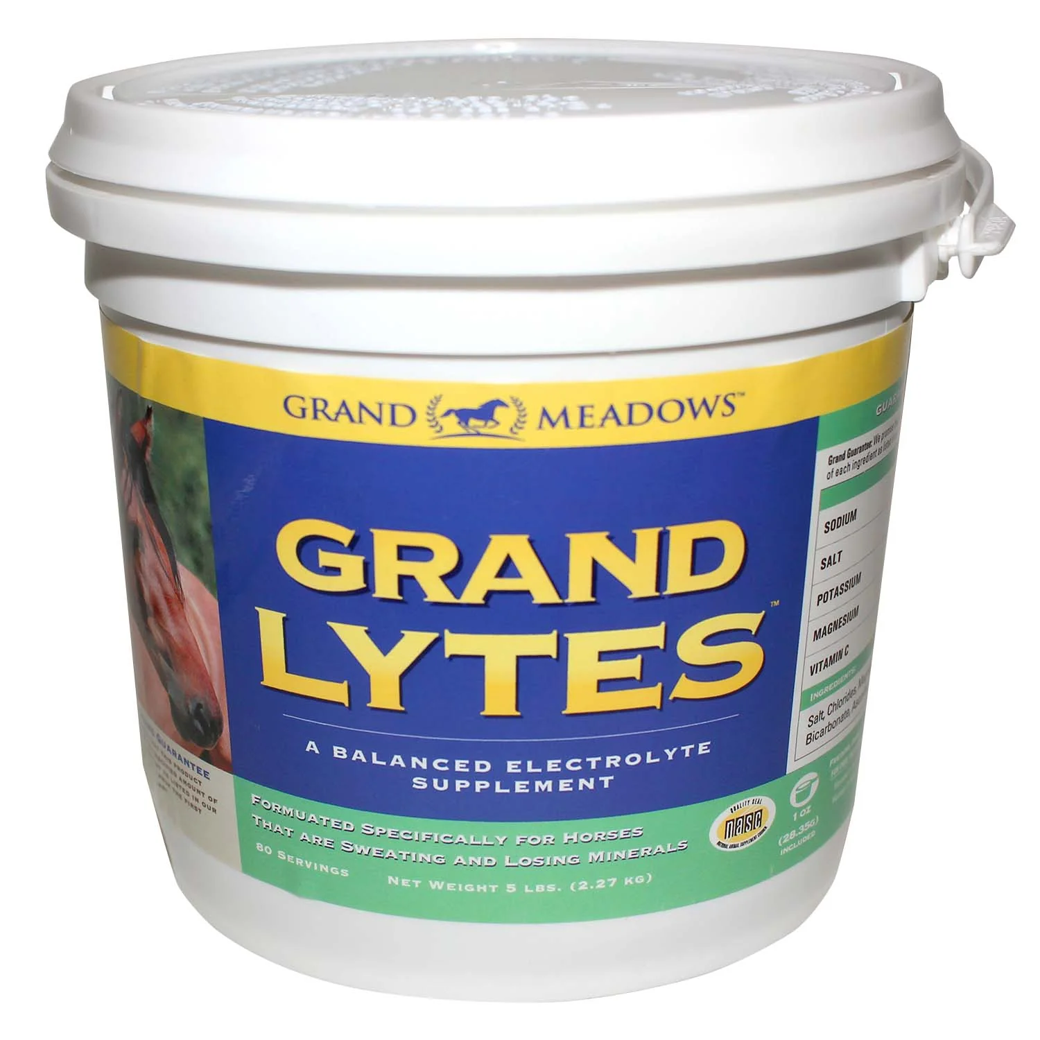 Grand Lytes Electrolyte Supplement for Horses - Image 1
