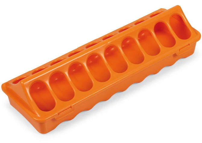 Plastic Ground Chicken Feeder – Chick Feeders, Hinged Lid, Durable Outdoor Poultry Feeder - Image 2