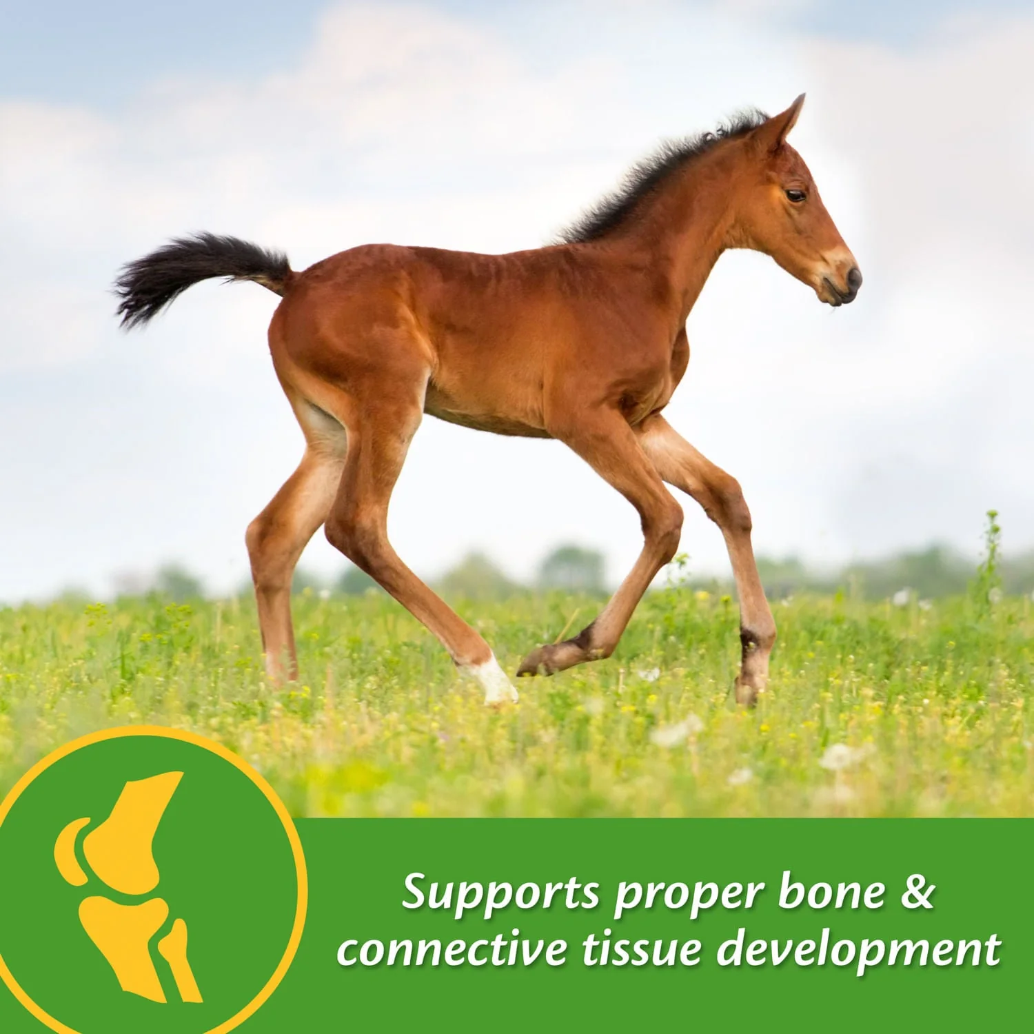 Grow Colt by Farnam - Image 2