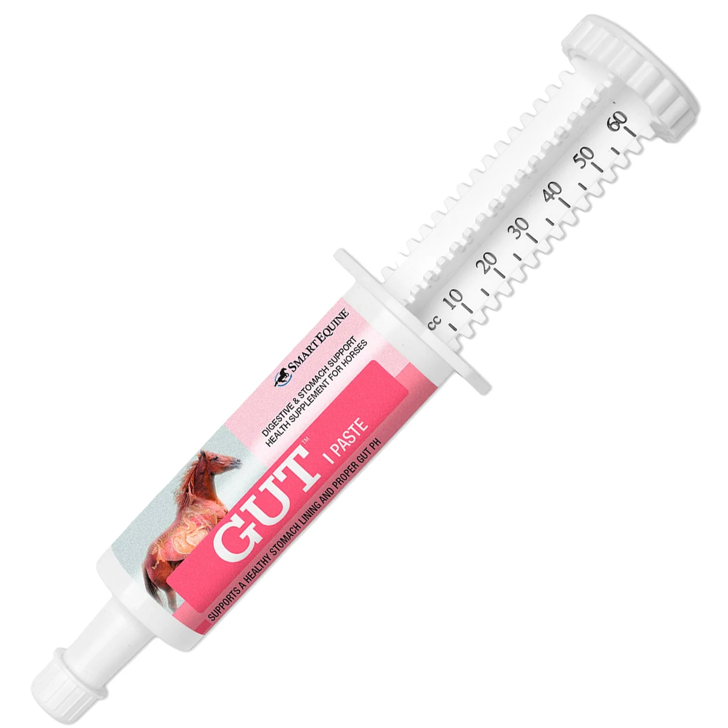GUT Digestive Support for Horses, Paste - Image 1