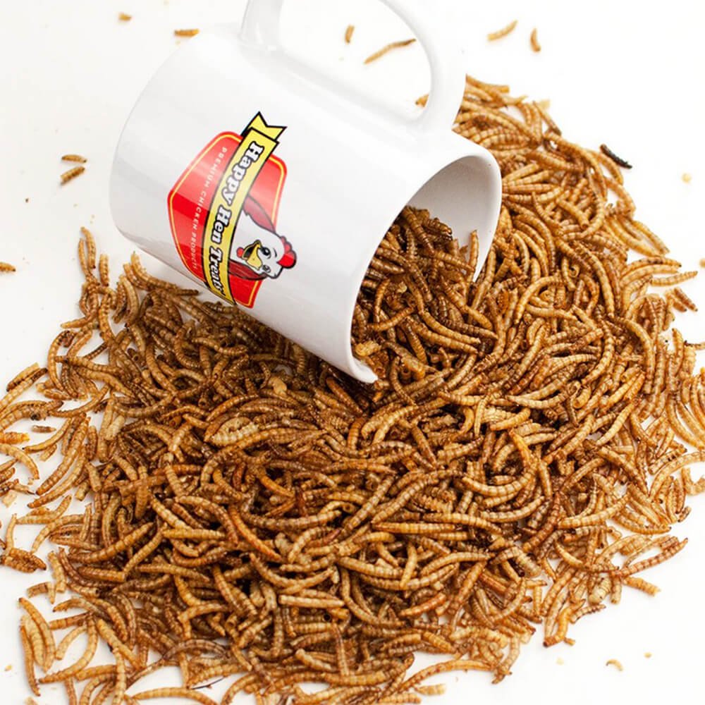 Happy Hen Treats MealWorm Frenzy for Chickens - Image 3