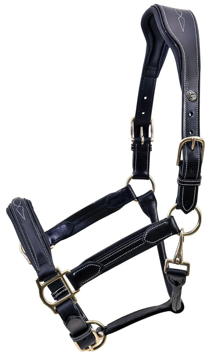 HDR Stress Free Fancy Stitch Leather Halter - Image 2