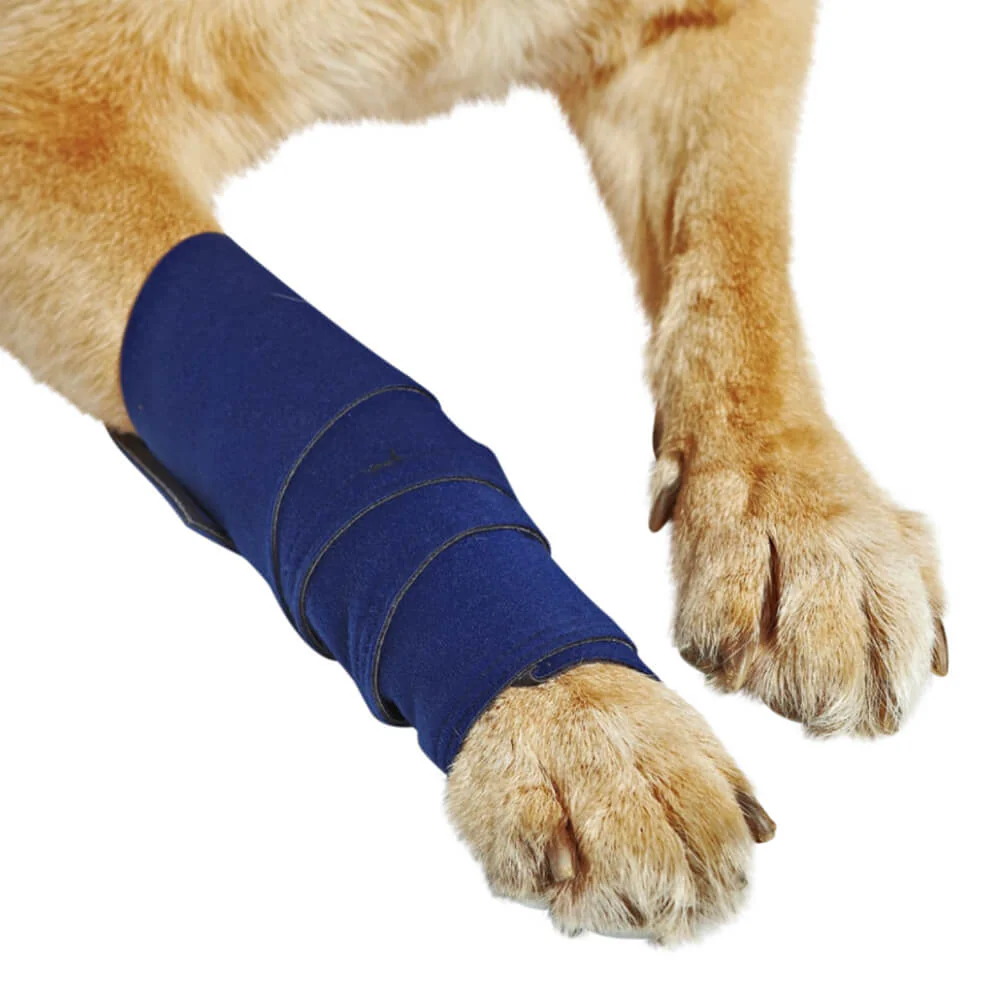 Healers Leg Wrap for Dogs - Image 2